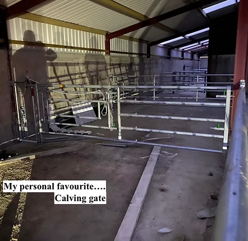 Calving gate installed in a shed