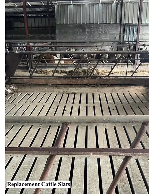 Replacement cattle slats in a shed