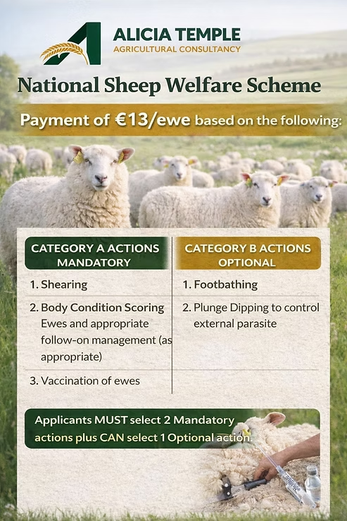 2026 National Sheep Welfare Scheme (NSWS)