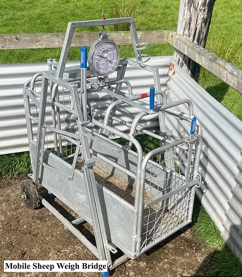 Mobile sheep weigh bridge