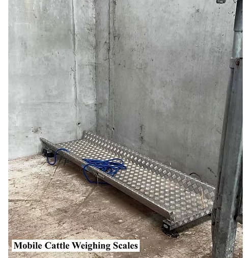 Mobile cattle weighing scales