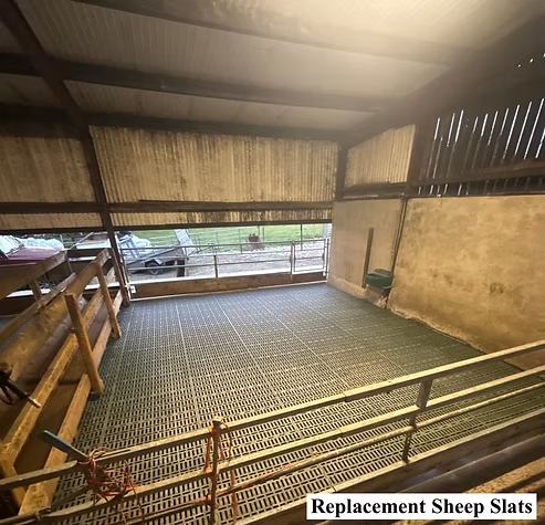 Replacement sheep slats in a shed