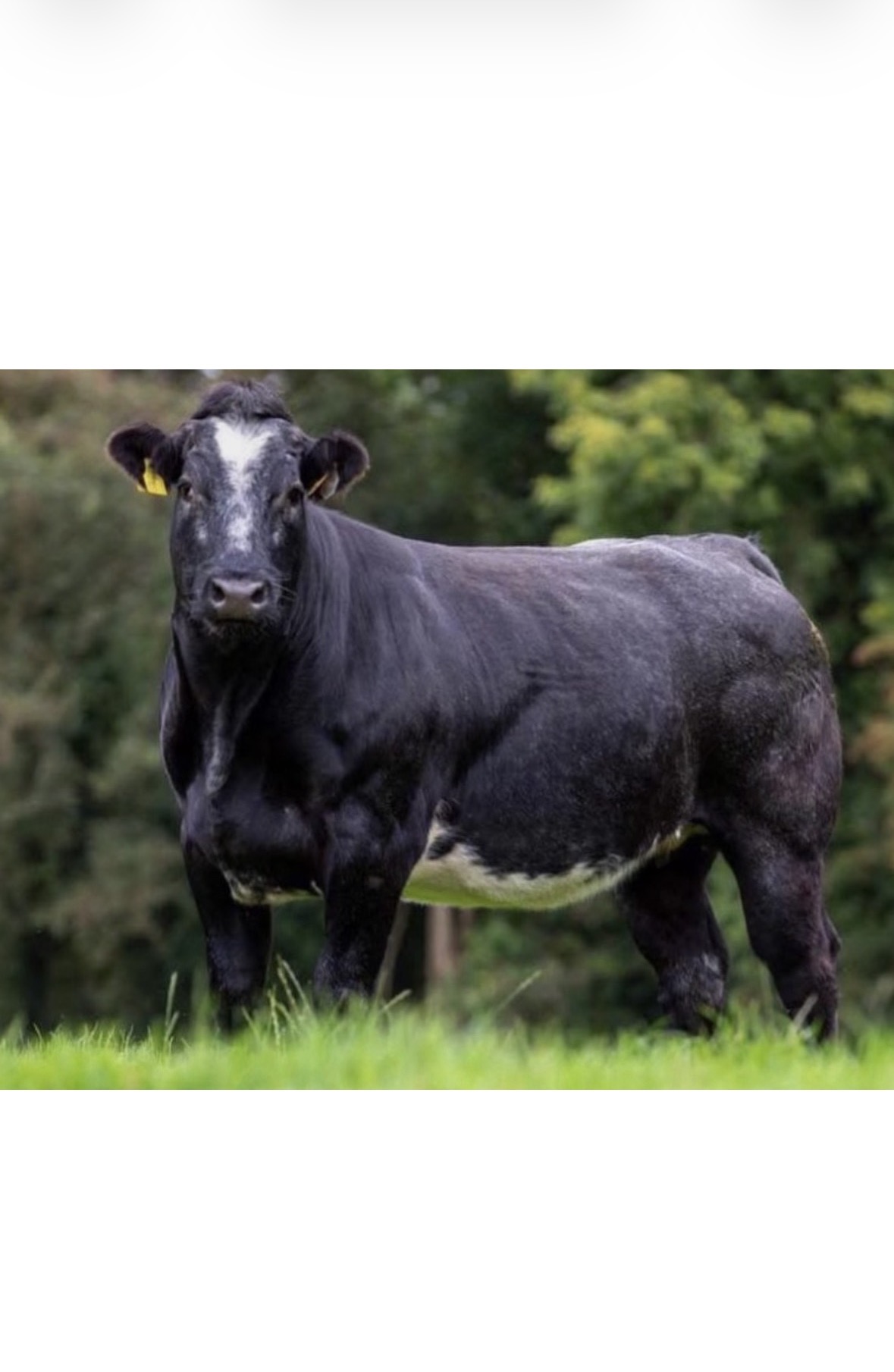 SCEP 2026 Farmer Compliance Checklist – Key Requirements & Deadlines