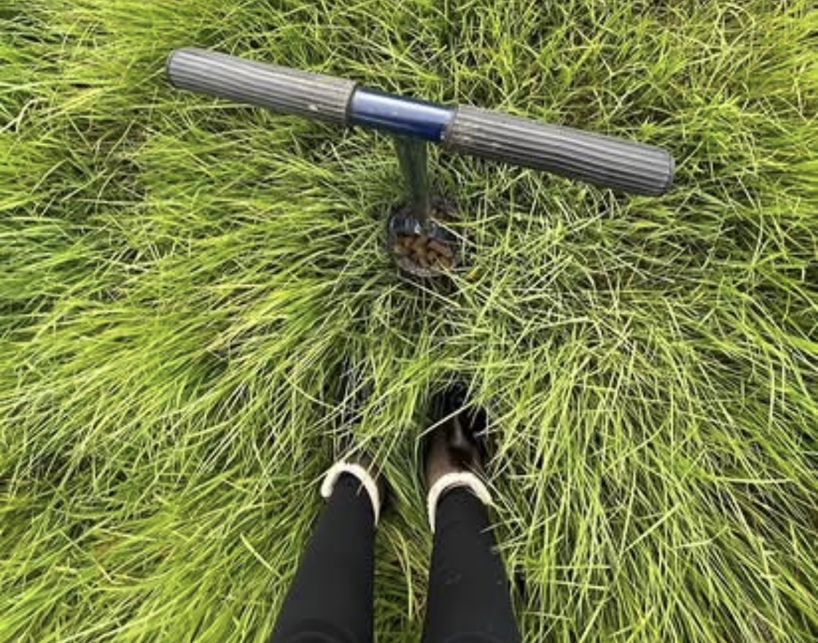 Soil Sampling: Plan for the Year Ahead
